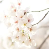 今日いち-2025年3月31日