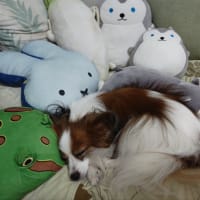 リモート