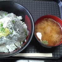 田子の浦港の゛しらす丼゛