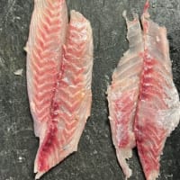 昼ごはん