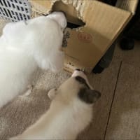 時間の問題？