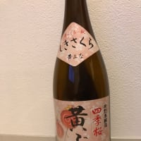四季桜/黄ぶな/特別本醸造