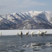 冬の屈斜路湖（美幌峠からの眺望と湖畔（砂湯付近）の風景）