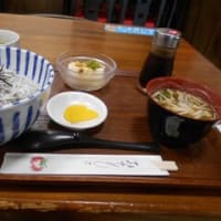 ３月１７日（日）、高知県安芸市でのお昼ごはんは「ちりめん丼」にしました。ちりめんドンちゃんも「食べてね。」と言っていました