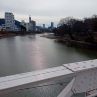 京橋川周辺バードウォッチング
