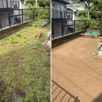 お庭の草の除去作業｜厄介なチガヤ系雑草を根から徹底除去【草取り・草刈り・除草】