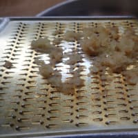 ポトフで心を温めて
