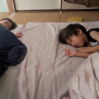 何度目なん…