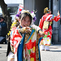 松山よさこい風舞人-13　 2024年  第71回  よさこい祭り   梅ノ辻競演場  本番１日目