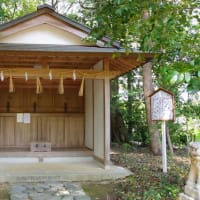 愛媛県西条市、中野甲「伊曽乃神社」です！！