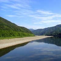 ６月２９日（木）のつぶやき（リブログ）