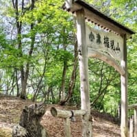 小津権現山に登ってきました。
