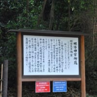 明治神宮御苑　　明治天皇ゆかりの由緒ある花菖蒲苑　　　1
