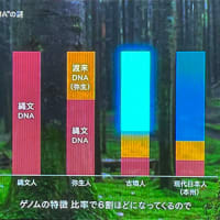 【NHK番組「日本人とは何者なのか？」最新ゲノム解析】