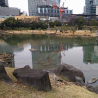 旧芝離宮恩賜庭園(4)