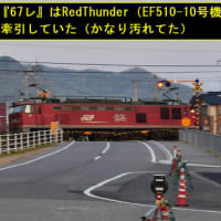 今日の『お写ん歩』終了！！（2025年4月17日）