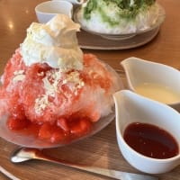ほんのひとときでしたが