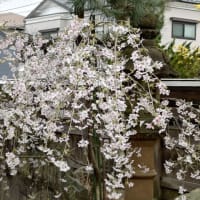 色々なご案内！！！