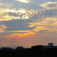 6/29　西空