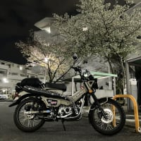 2025年 春