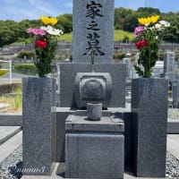 命日