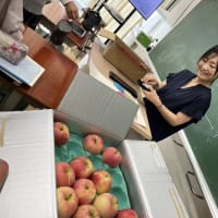 今日の学園の様子