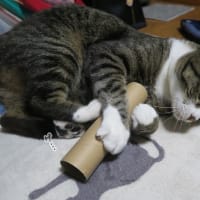 眠くたってお約束だから