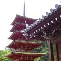 奈良 長谷寺観光