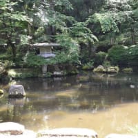 茨城の香取神宮　大鳥居と表参道　　　3