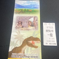 ぽっくんと恐竜🦕