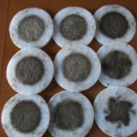 24時間換気吸い込み口の清掃