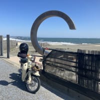 Litoral e Monte Fuji