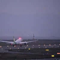エバー航空 ボーイング 787-10 2号機がやって来た‼️B-17802. 夕刻 B-17801 1号機もやって来た‼️