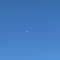 わたしを思い出す場所