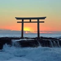 many shirines  from old times　昔から神社たくさん　やっぱり唯一の日本古来の宗教の神道だね