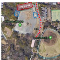 岡村公園少年野球場利用について