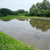 おじさんの〝ボヤキ〟