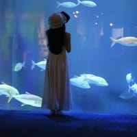 四国水族館Ⅱ