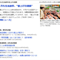 「野菜高値」ヤフーニュースにブログがのった。