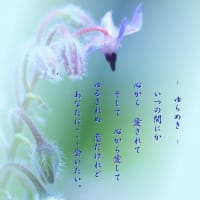 Photo　poem　-　ゆらめき　-