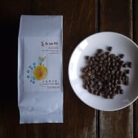 【4-5月】ほぼ月替りコーヒー　コスタリカ /トレスリオス地区とタラス地区の小農家
