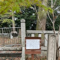 岩屋寺＊