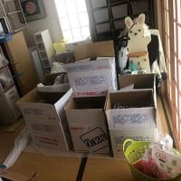 我が家はぐちゃぐちゃ・・・。