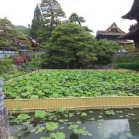 法事で長野に帰った話。