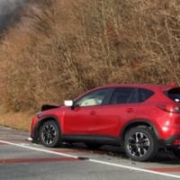 モータージャーナリストっていりますか 5 中古車のネットショップcia モータージャーナリストっていりますか 5 中古車のネットショップcia