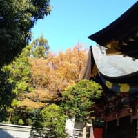 秋の秩父へ