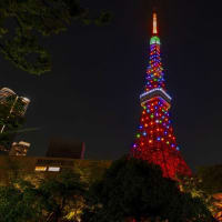 ゴールデンウイークカラーの東京タワー