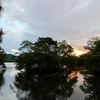 大沼公園の朝