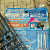 アトール　ウインゲルバインダー
