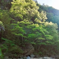 信濃十名勝「山清路」の風景と「犀龍と泉小太郎」伝説